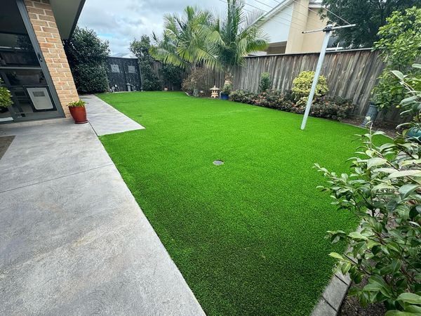 Backyard with turf lawn